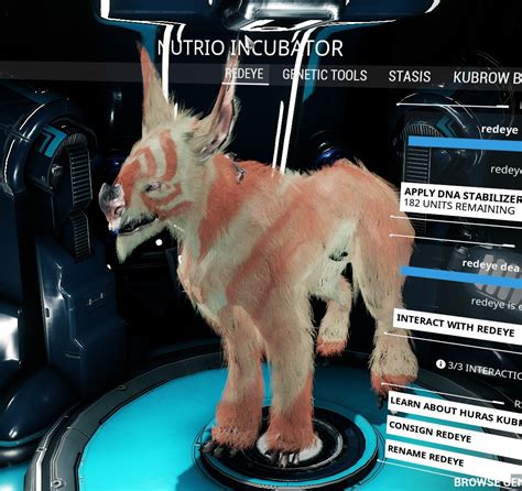 omega kubrow|warframe kubrow breeding guide.